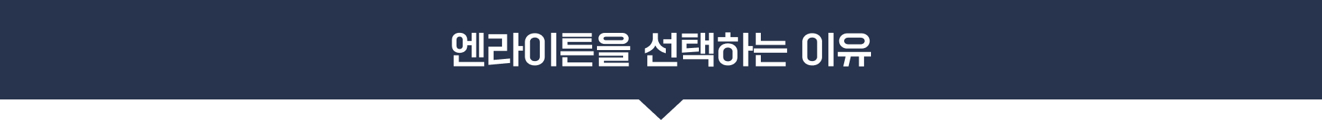 엔라이튼을 선택한 이유